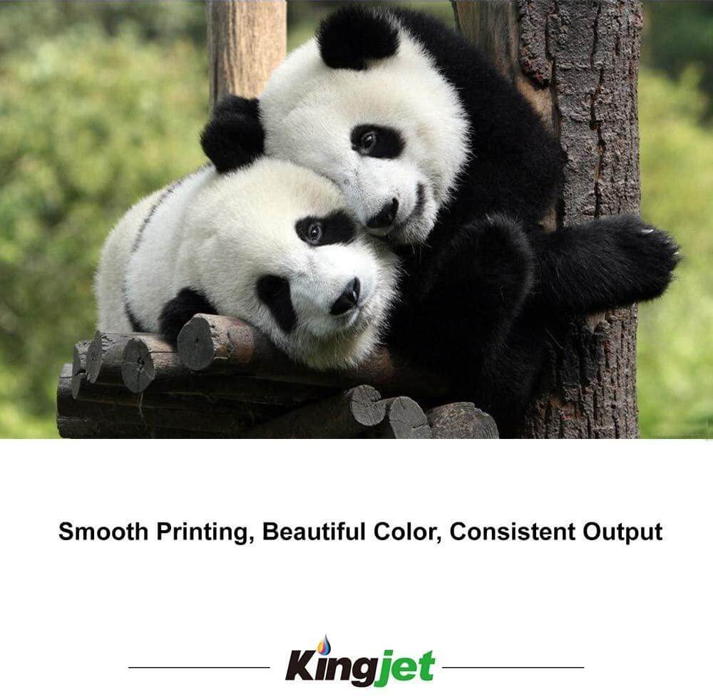 Kingjet Compatible Brother LC3013XL Ink Cartridge Black Value 5 Pack - TonerParts