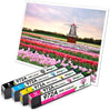 KingJet Compatible HP 972A Ink Cartridges BCYM 4 Pack