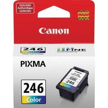 OEM Canon CL-246 8281B001 Ink Cartridge Color 180 Yield - TonerParts