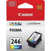OEM Canon CL-246 8281B001 Ink Cartridge Color 180 Yield